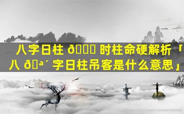 八字日柱 🐋 时柱命硬解析「八 🪴 字日柱吊客是什么意思」